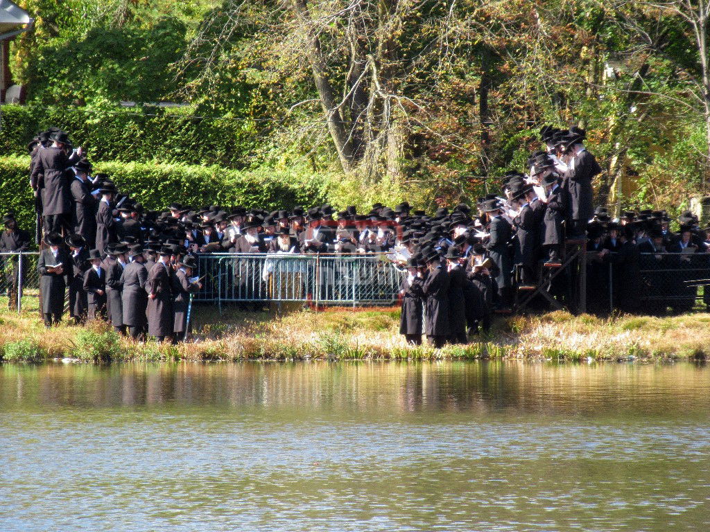 האדמו"ר מסאטמר בתשליך