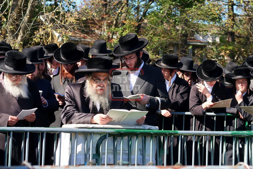 האדמו"ר מסאטמר בתשליך