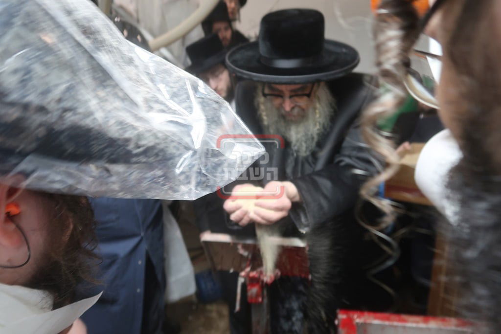 האדמו"ר מסאטמר בבית השחיטה בערב יום כיפור