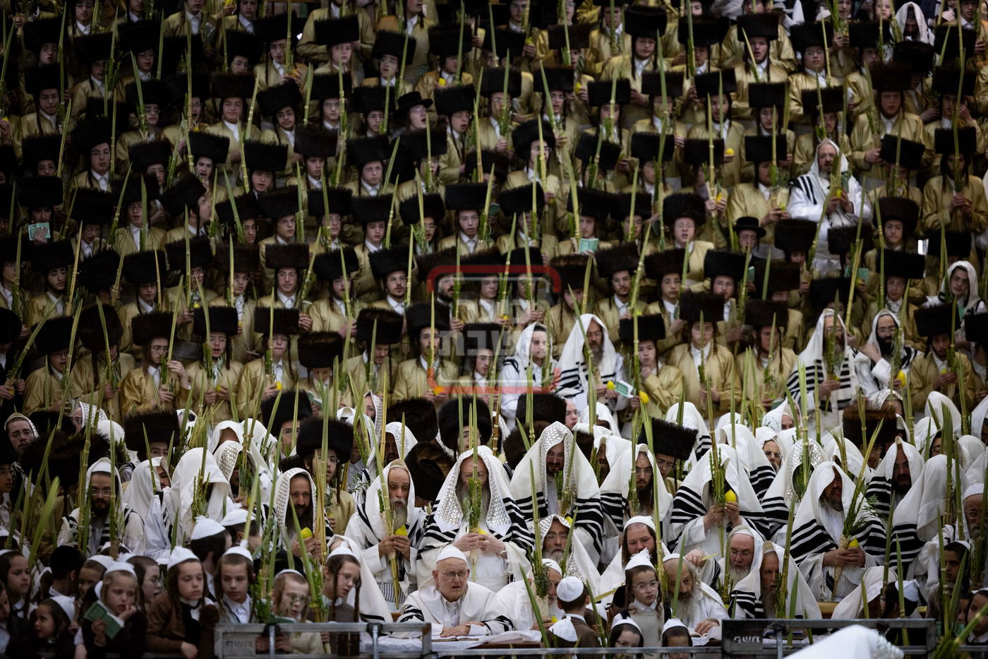 הושענא רבה ב'תולדות אהרן'