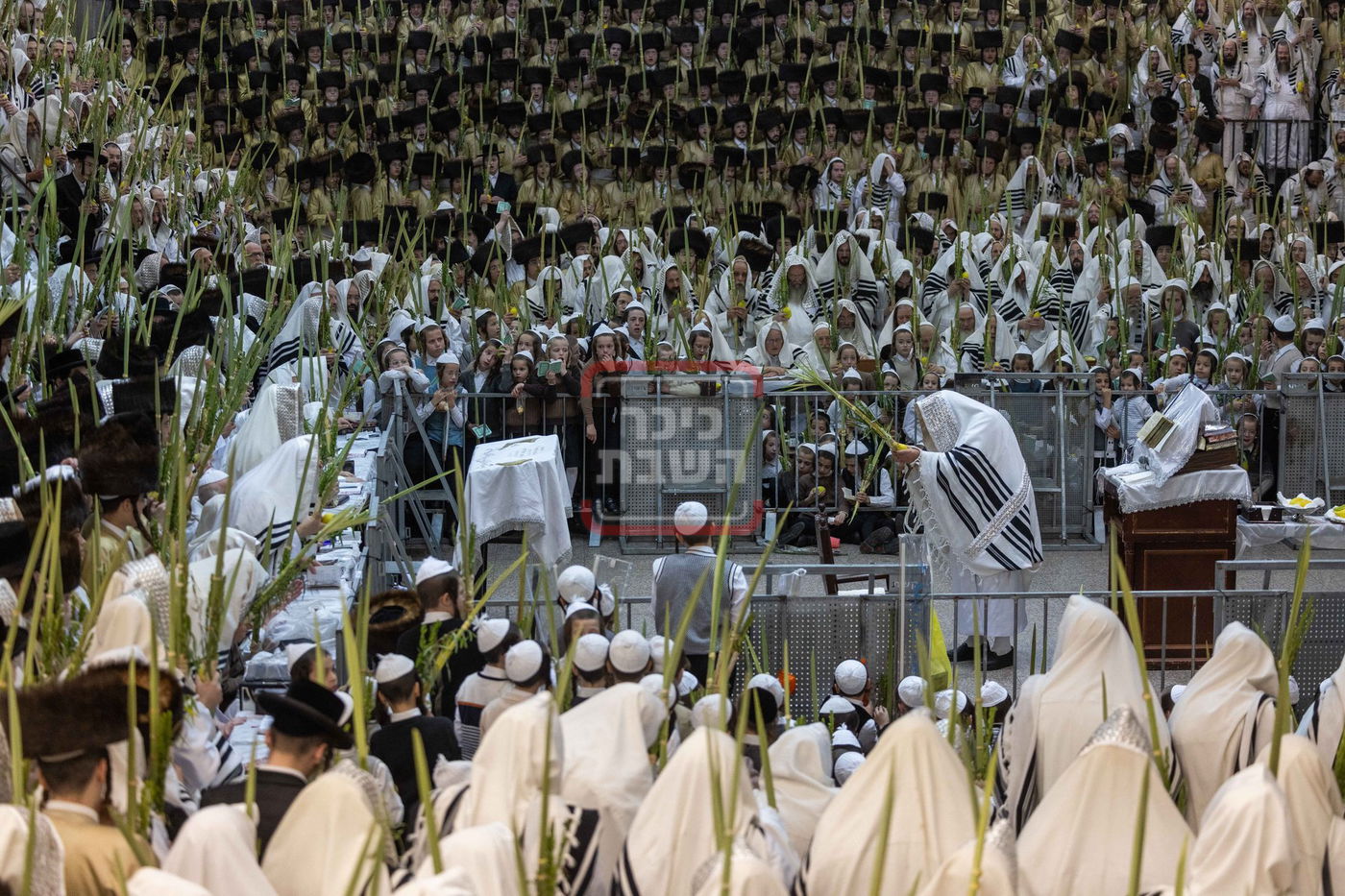 הושענא רבה ב'תולדות אהרן'