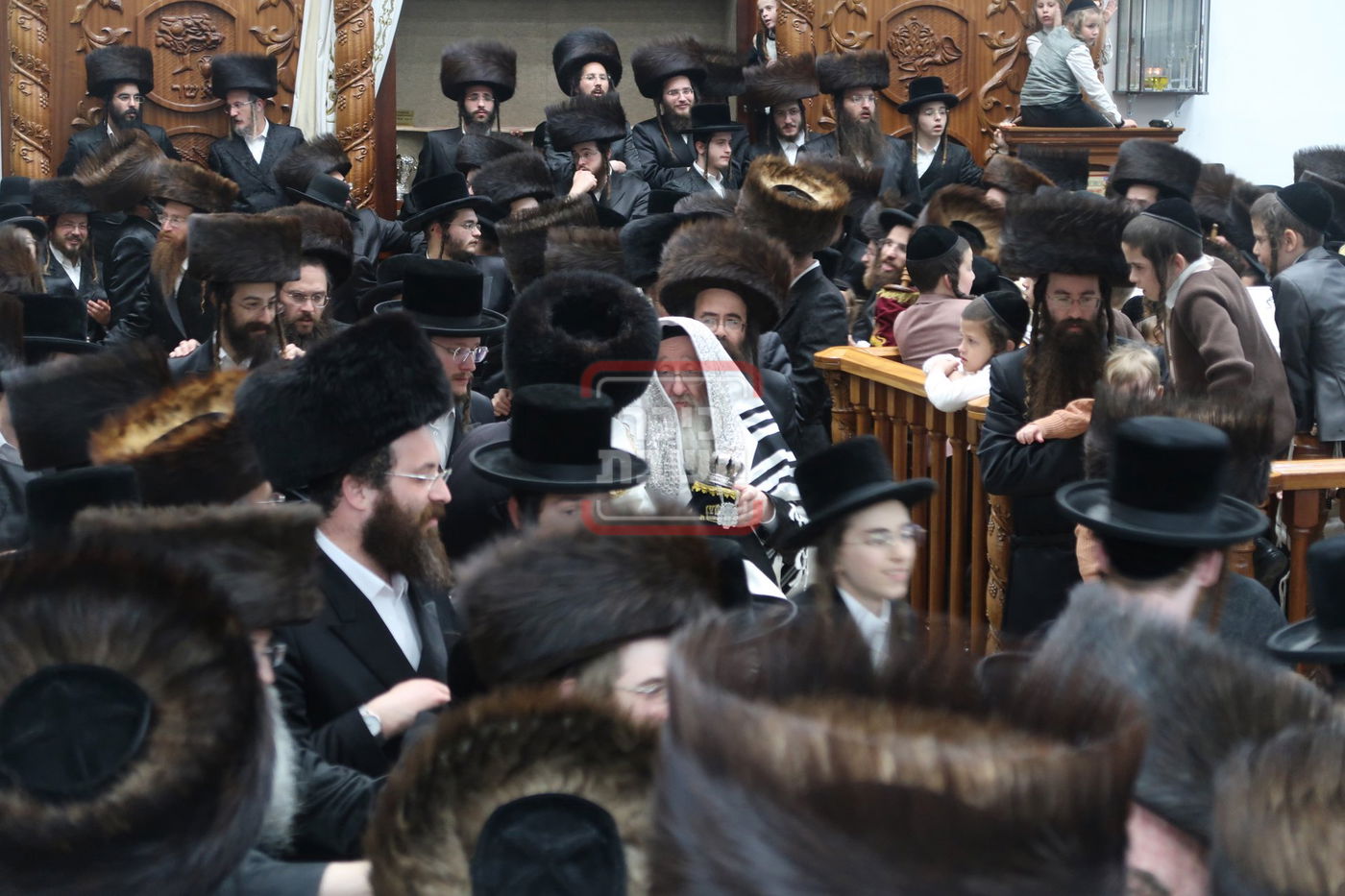 הקפות שניות בחצה"ק ביאלה