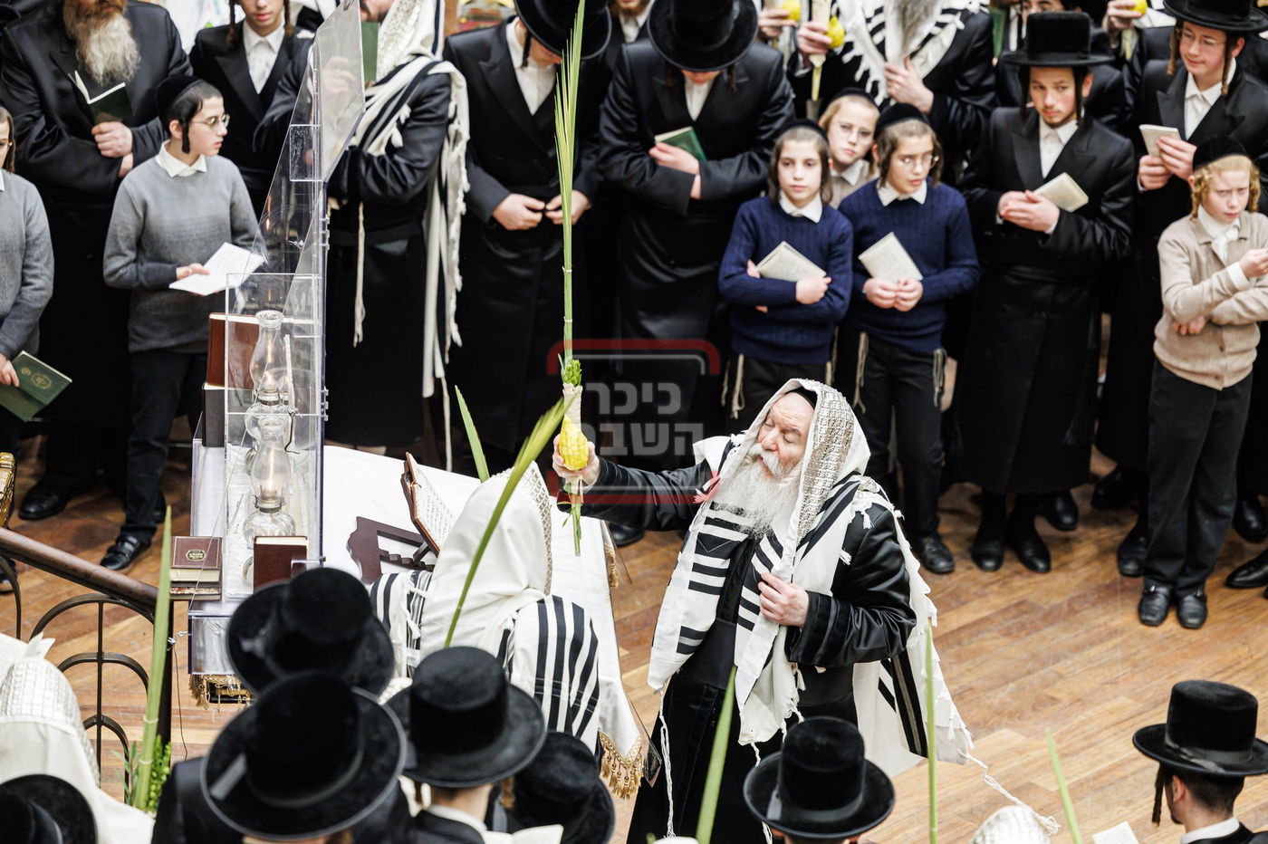 האדמו"ר מבאבוב בנענועים בחג הסוכות 