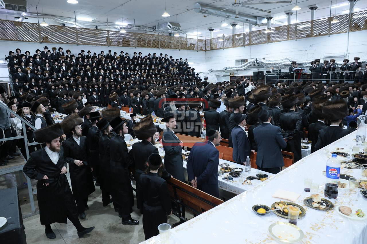 שמחת נישואי נכד האדמו"ר ממחנובקא בעלזא 