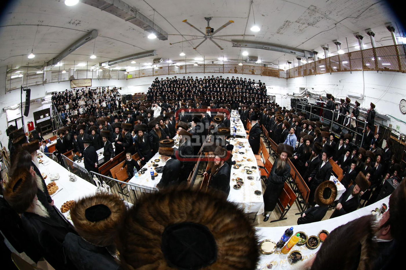 שמחת נישואי נכד האדמו"ר ממחנובקא בעלזא 