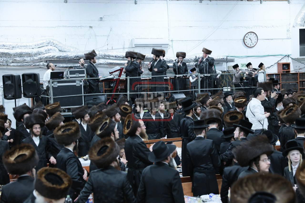 שמחת נישואי נכד האדמו"ר ממחנובקא בעלזא 