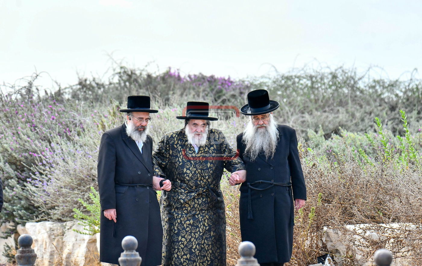 האדמו"ר מויז'ניץ