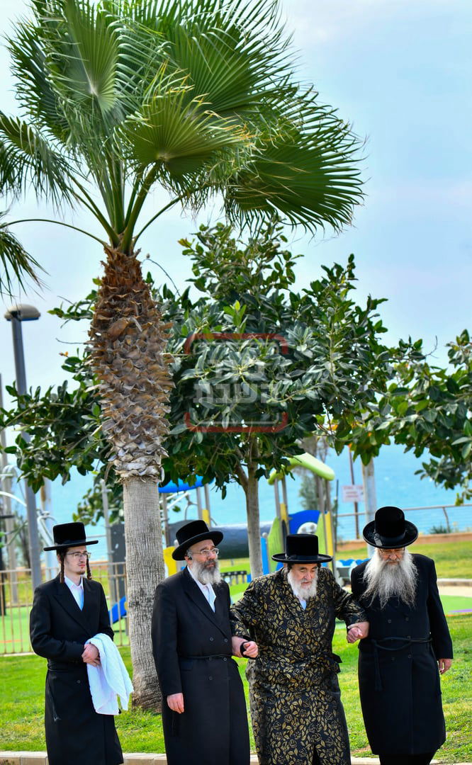 האדמו"ר מויז'ניץ בנאות דשא בנתניה