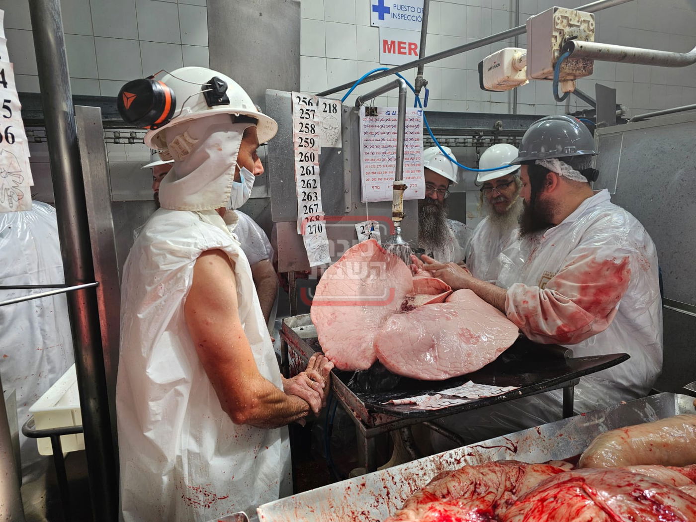 האדמו"ר מסאטמר בביקור בבית שחיטה באורגוואי | ארכיון לתמונה אין קשר לנאמר בכתבה