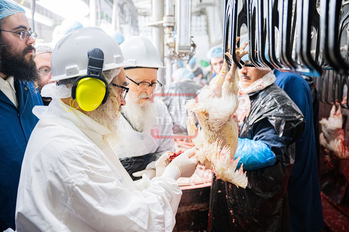האדמו"ר מסערדאהעלי בסיור בבית השחיטה בקריית יואל עם האדמו"ר מסאטמר 