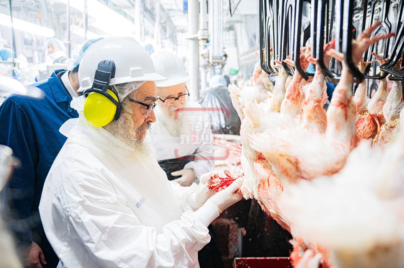 האדמו"ר מסערדאהעלי בסיור בבית השחיטה בקריית יואל עם האדמו"ר מסאטמר 