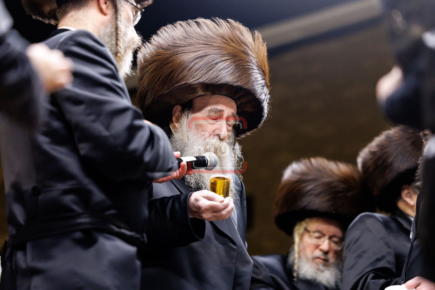 שמחת נישואי נכד האדמו"ר מתולדות צבי דספינקא 