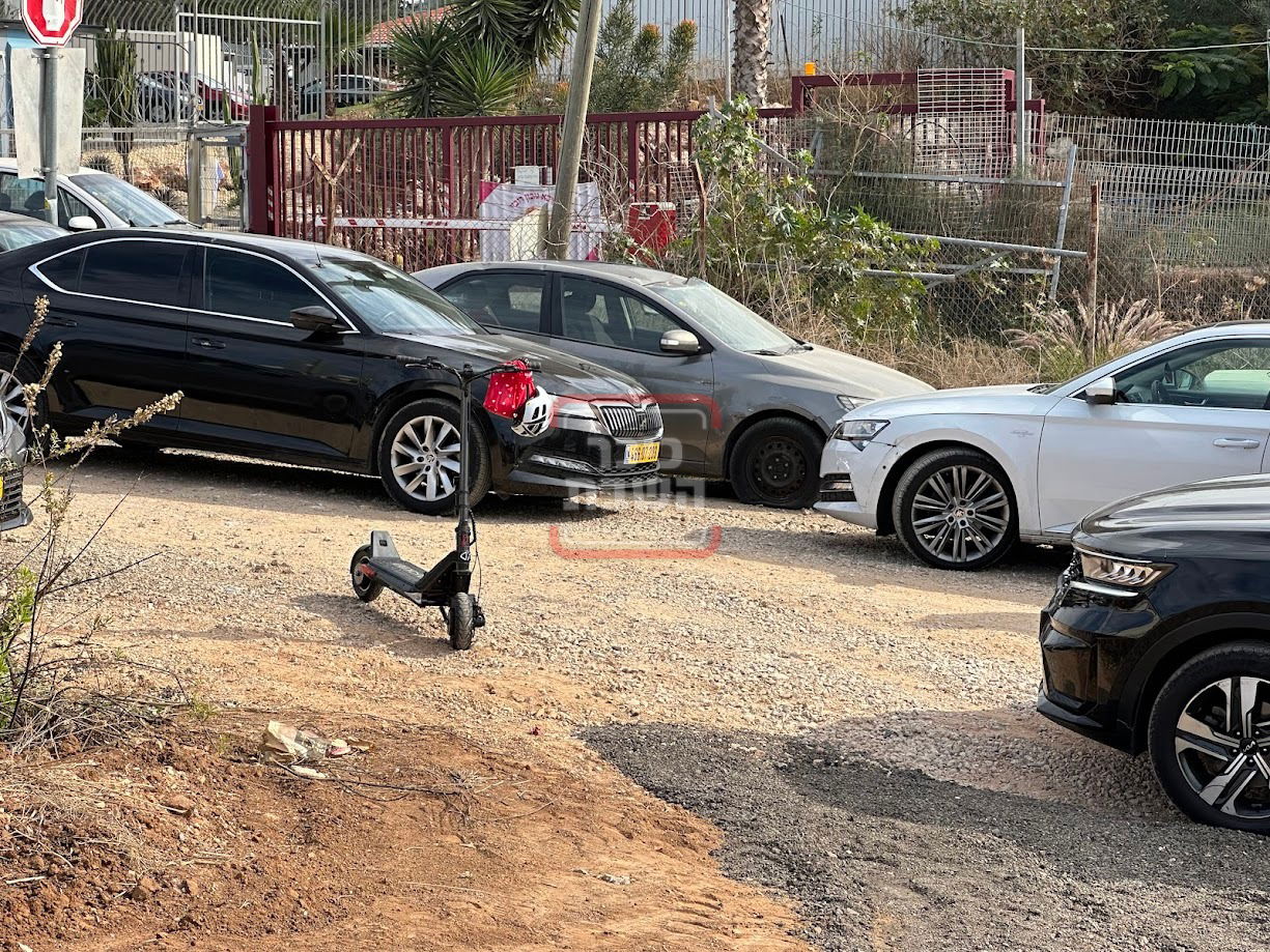 זופניק בכיכר • כל התמונות, הנייעס והחשיפות של השבוע