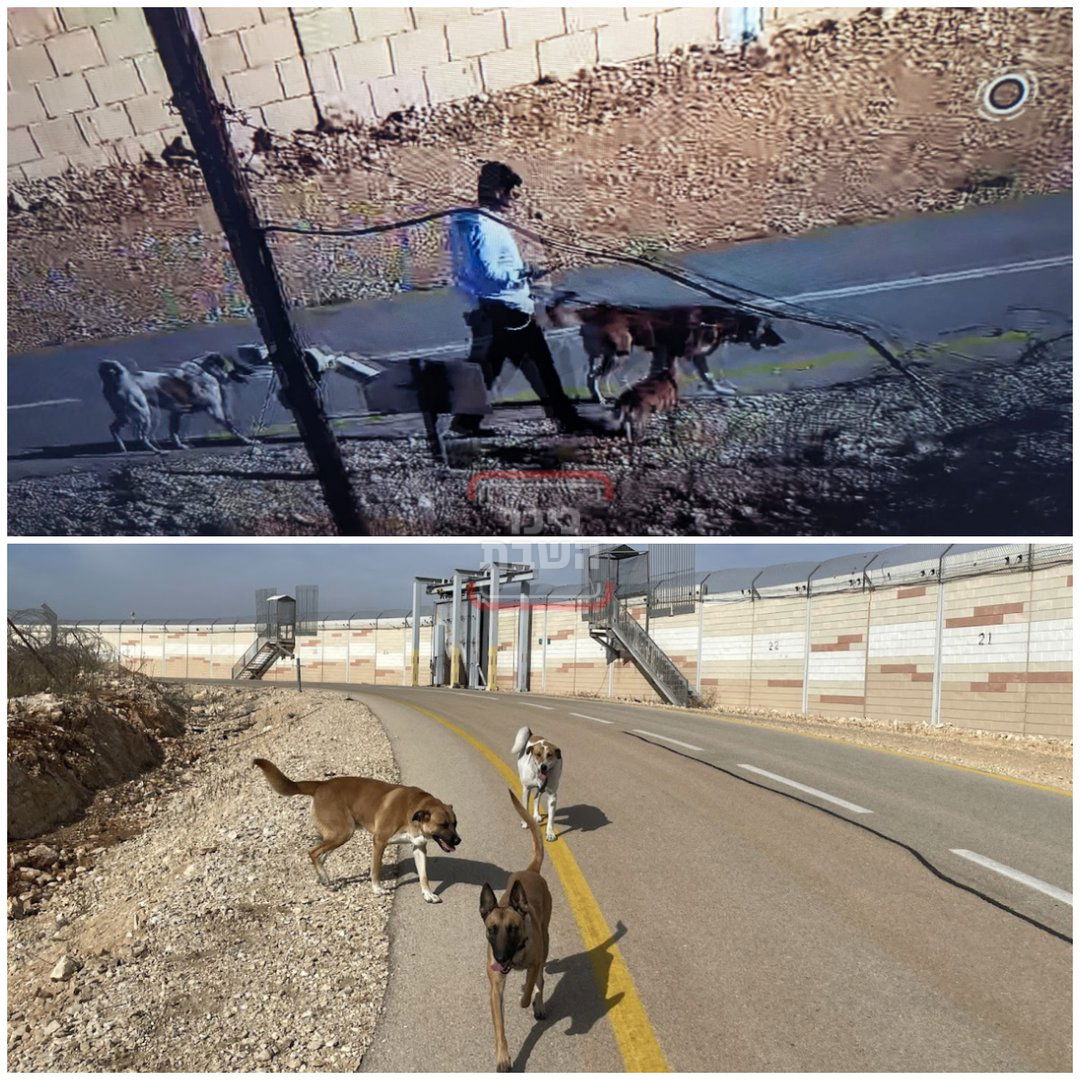 זופניק בכיכר • כל התמונות, הנייעס והחשיפות של השבוע