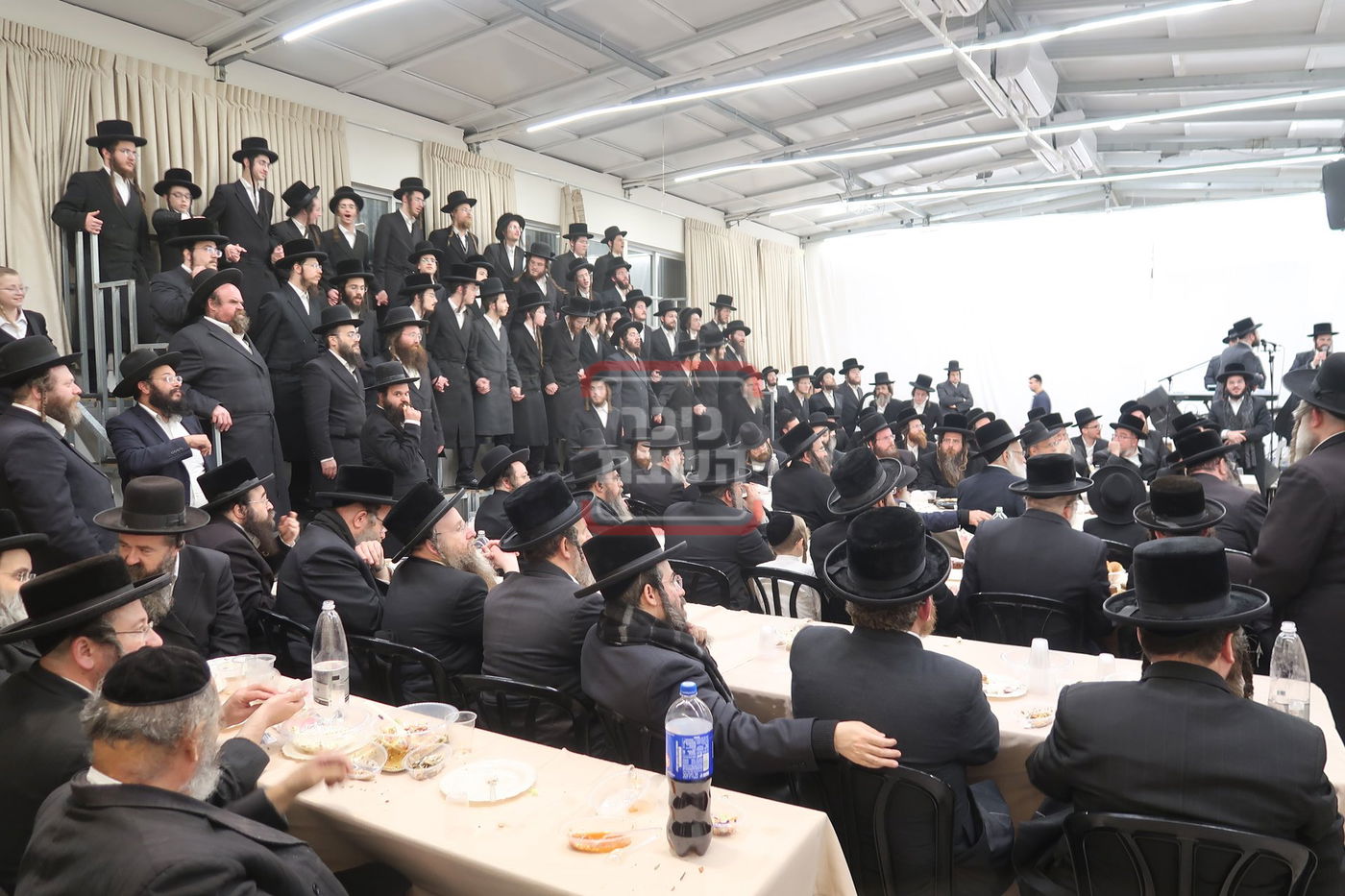 שמחת אירוסי נכד האדמו"ר מטולנא