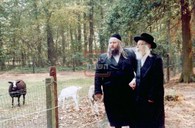 הרבי מפשעווארסק זצ"ל בנאות דשא