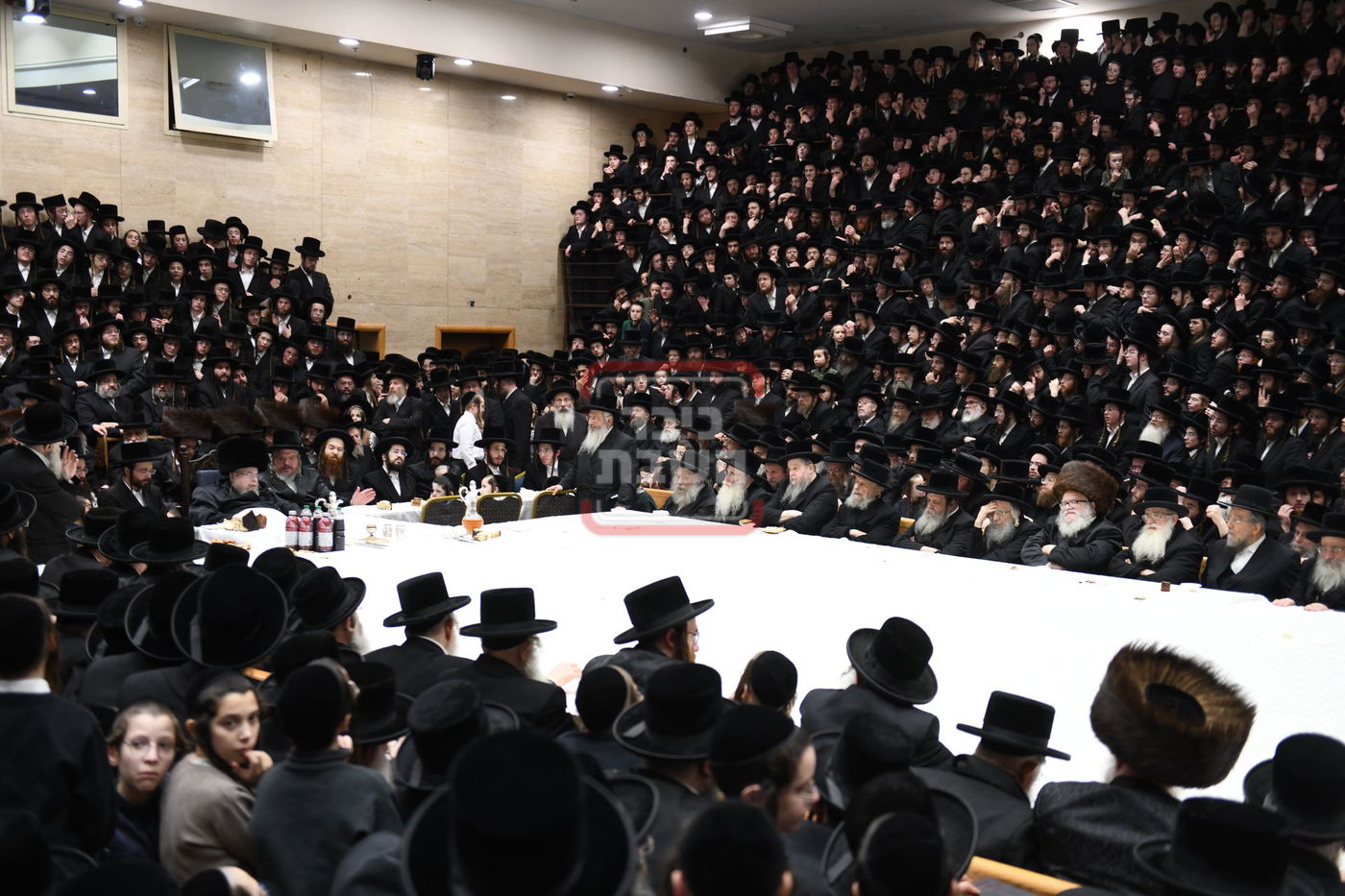 ט"ו בשבט בחצה"ק בעלזא