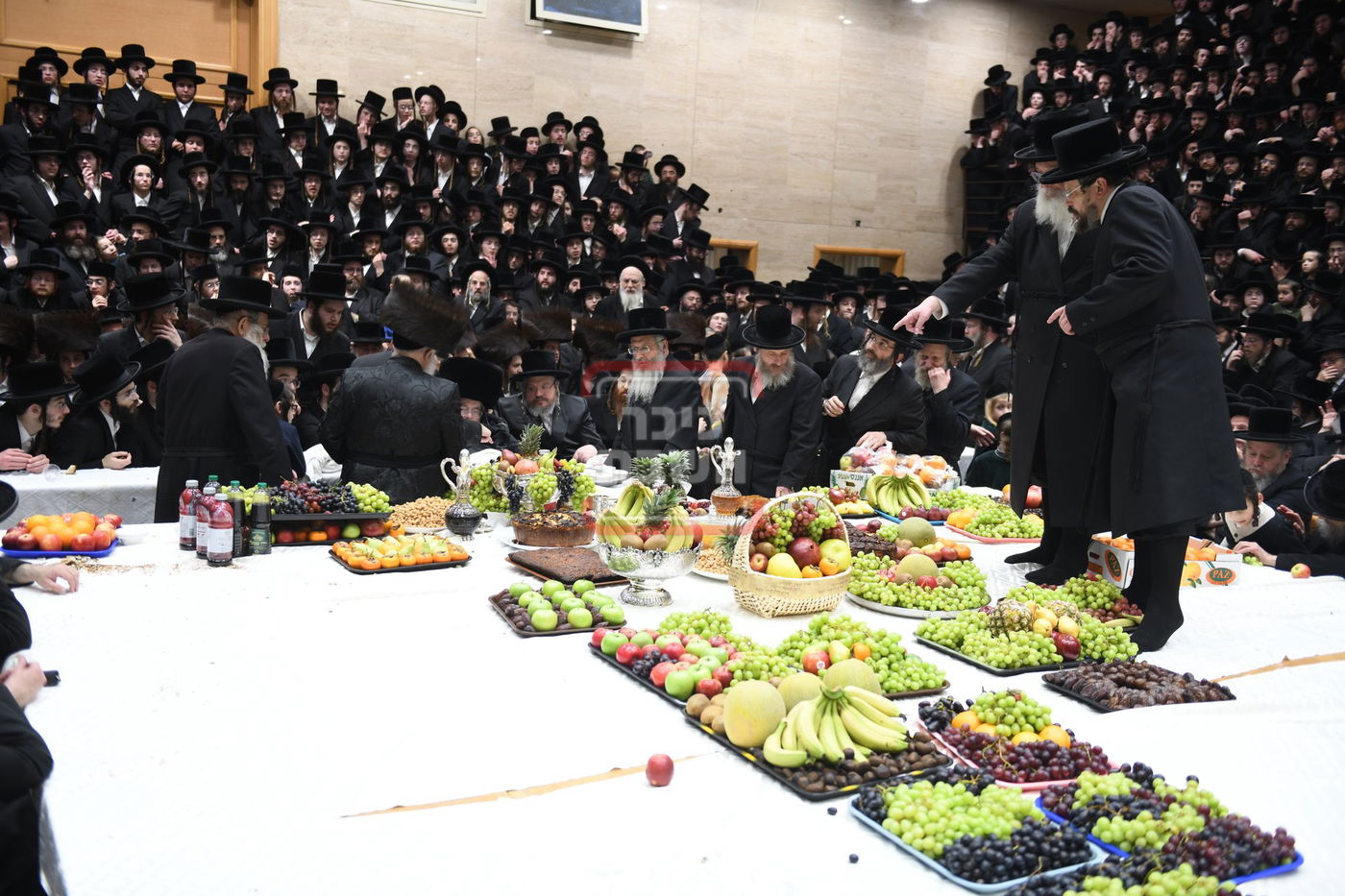 ט"ו בשבט בחצה"ק בעלזא