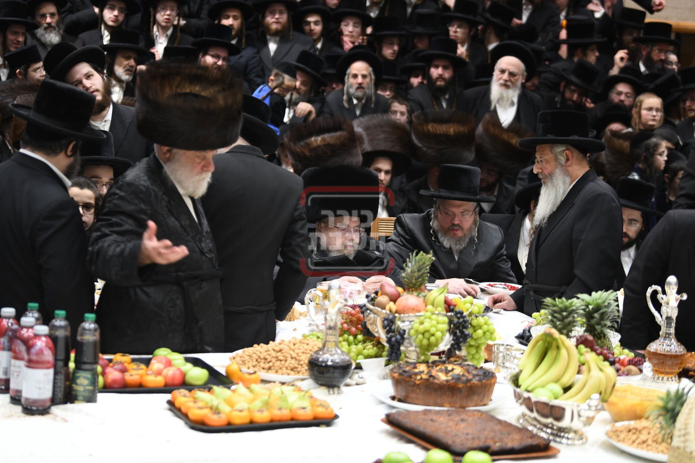 ט"ו בשבט בחצה"ק בעלזא