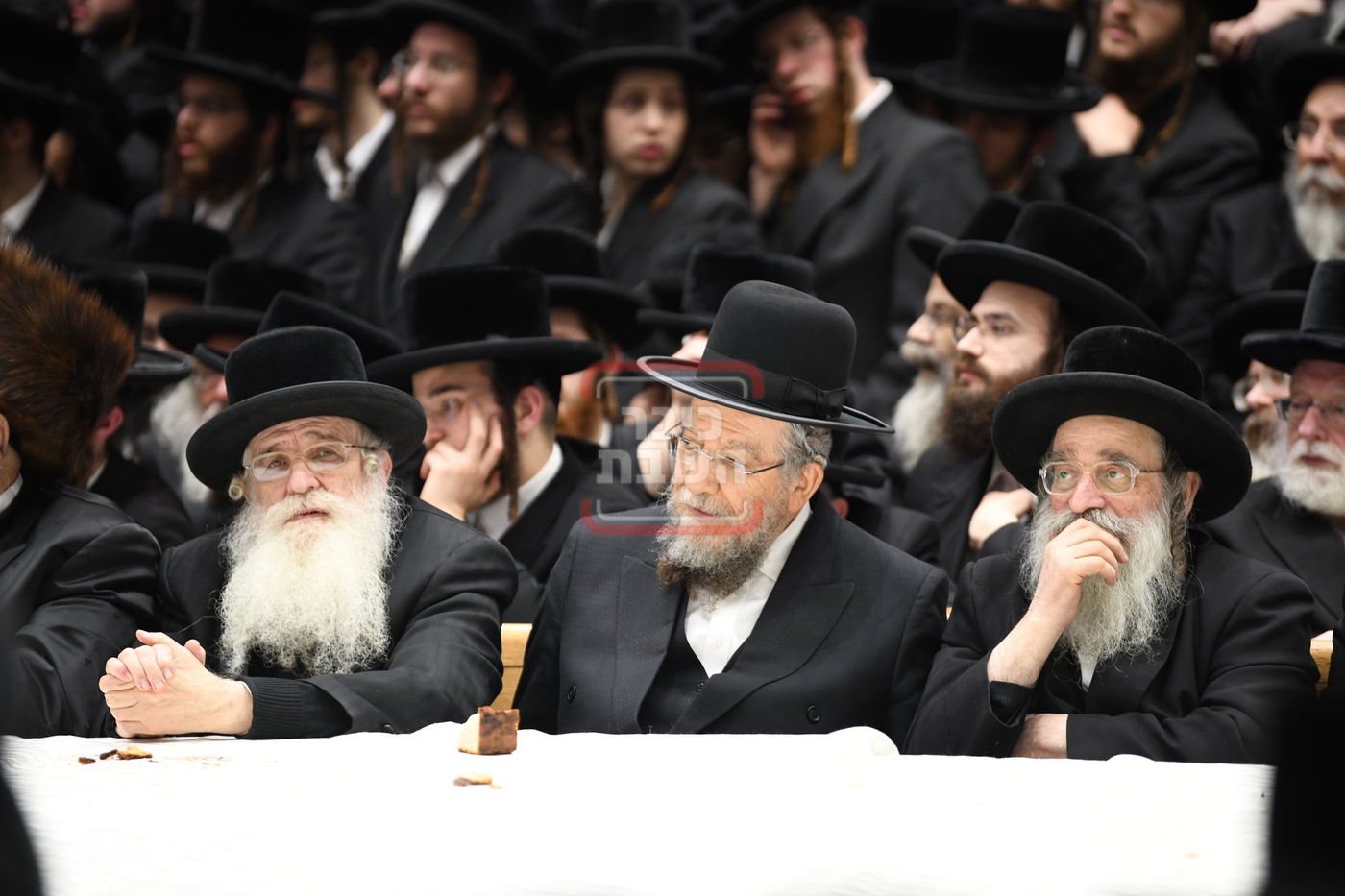 ט"ו בשבט בחצה"ק בעלזא