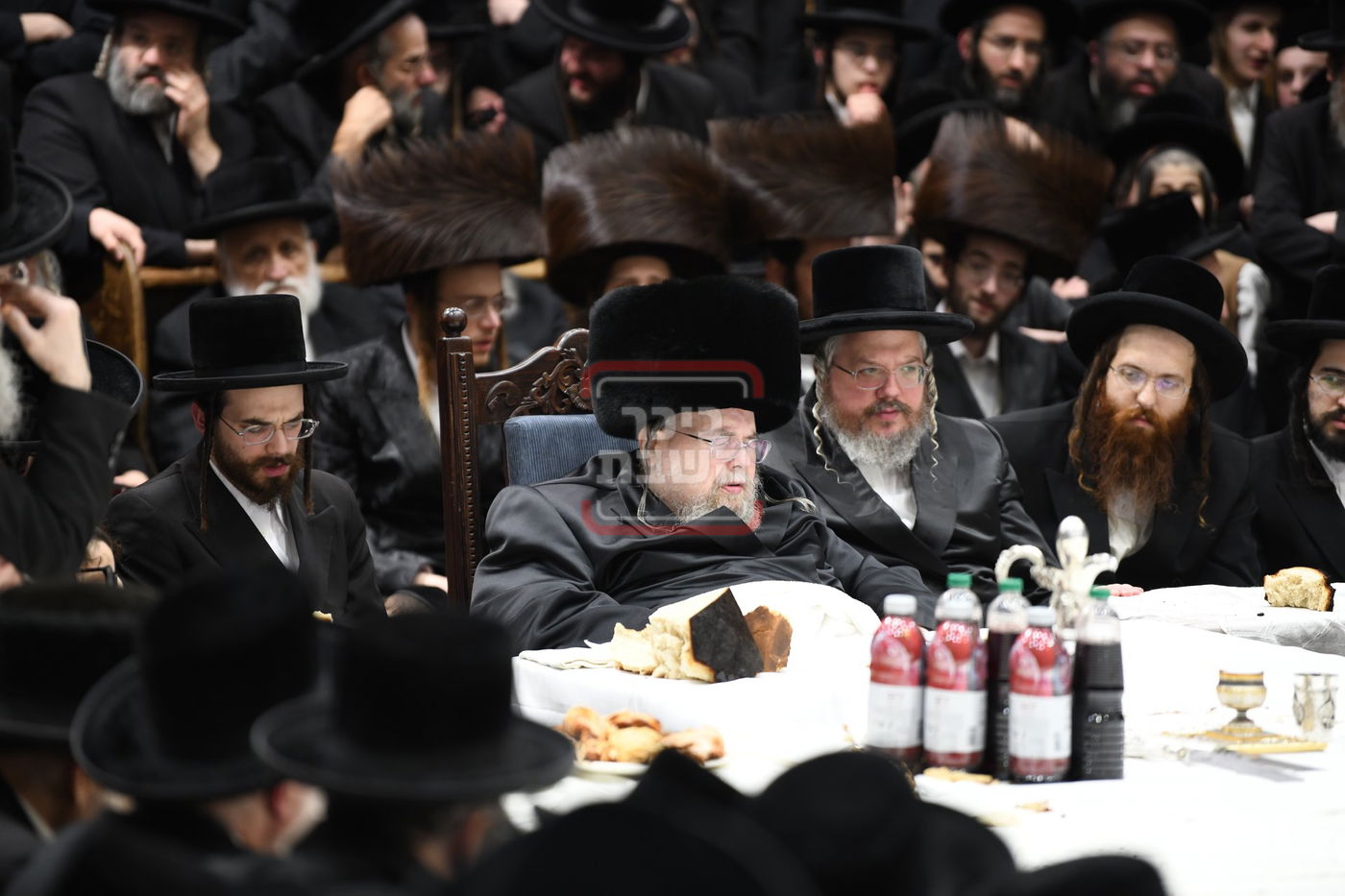 ט"ו בשבט בחצה"ק בעלזא