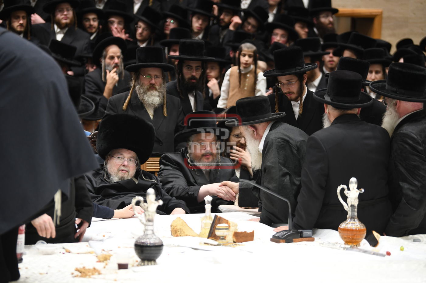 ט"ו בשבט בחצה"ק בעלזא