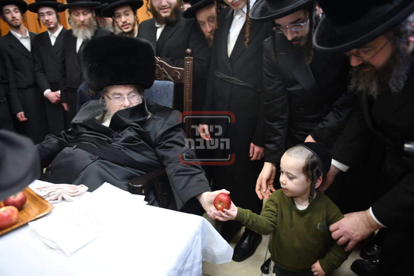 ט"ו בשבט בחצה"ק בעלזא