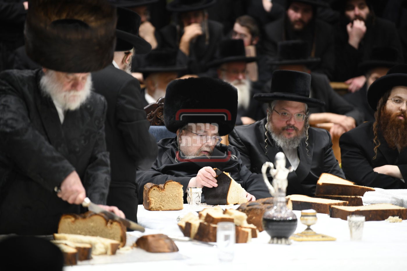 ט"ו בשבט בחצה"ק בעלזא