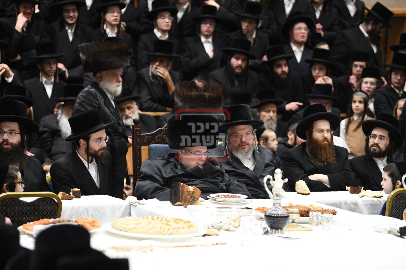 ט"ו בשבט בחצה"ק בעלזא