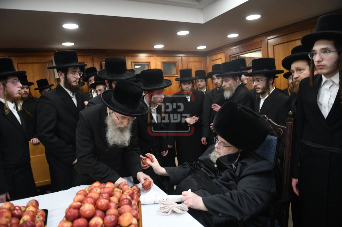 ט"ו בשבט בחצה"ק בעלזא