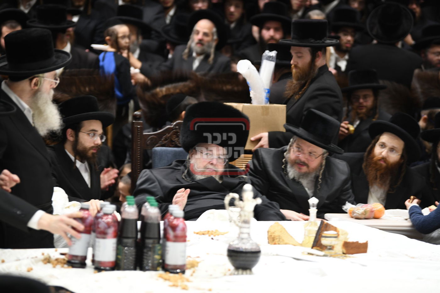 ט"ו בשבט בחצה"ק בעלזא