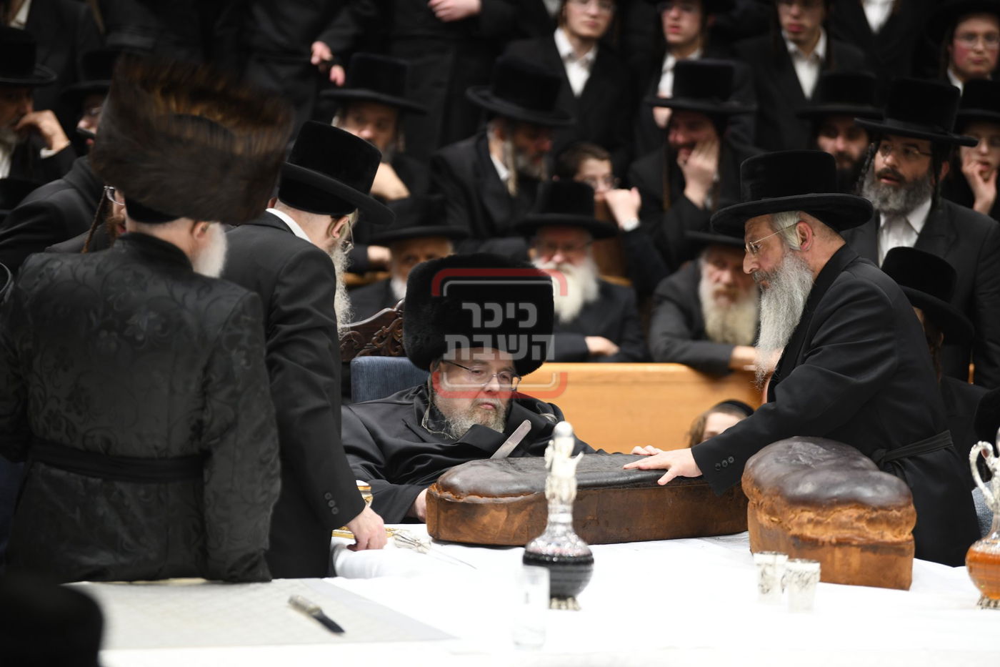 ט"ו בשבט בחצה"ק בעלזא