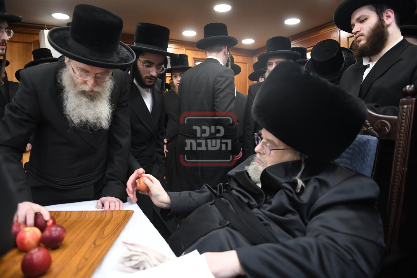 ט"ו בשבט בחצה"ק בעלזא