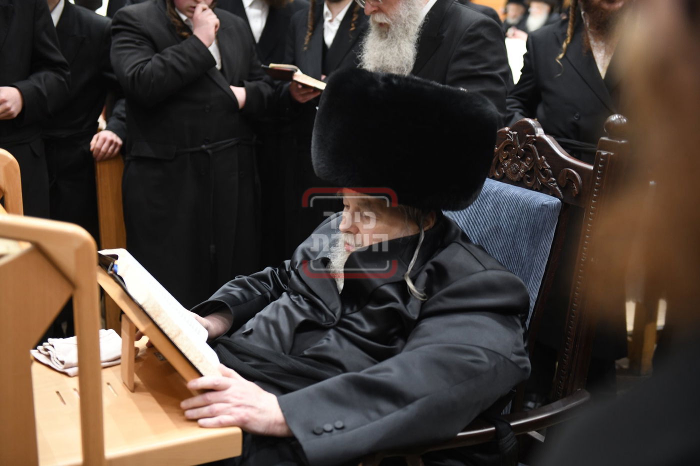 ט"ו בשבט בחצה"ק בעלזא