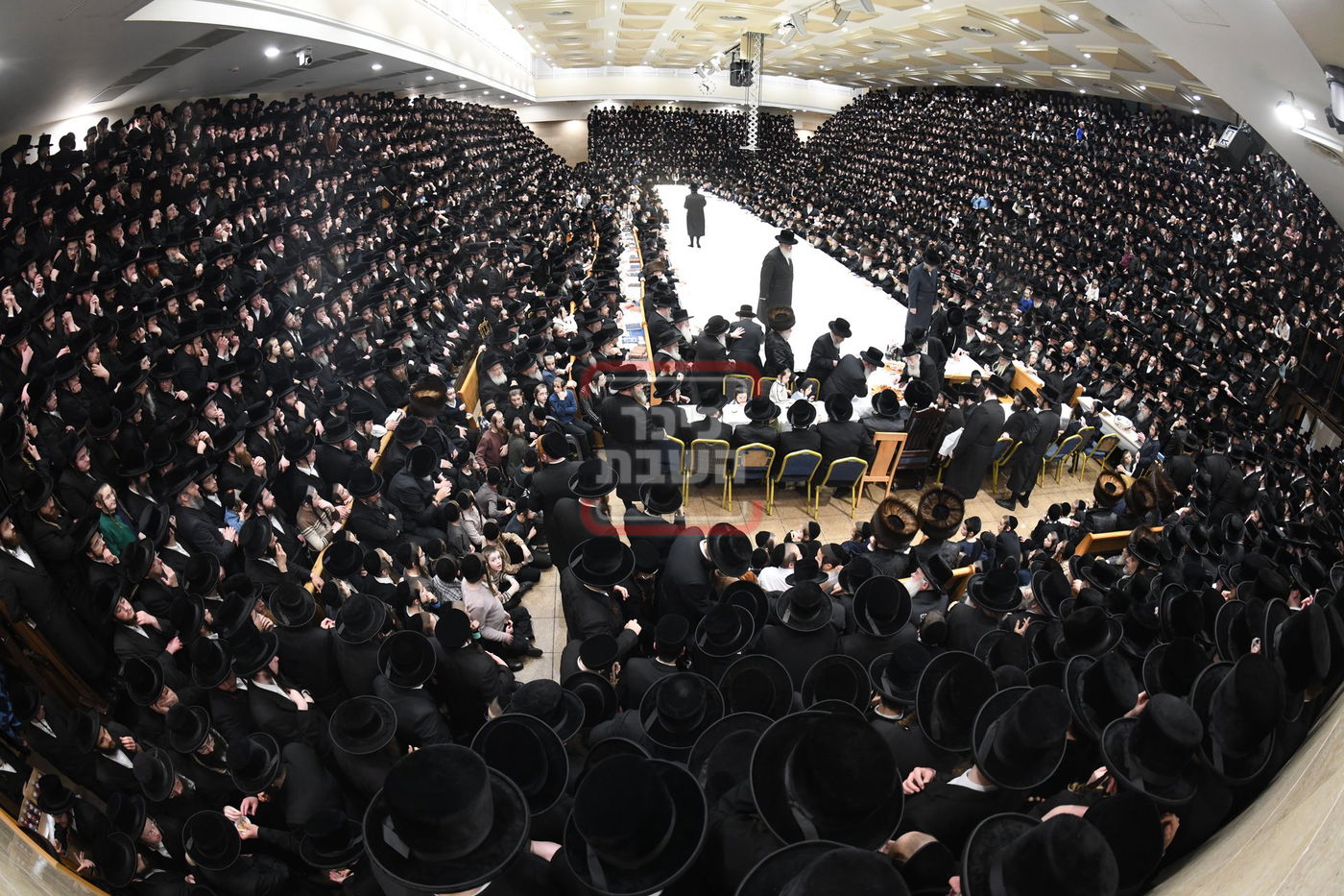 ט"ו בשבט בחצה"ק בעלזא