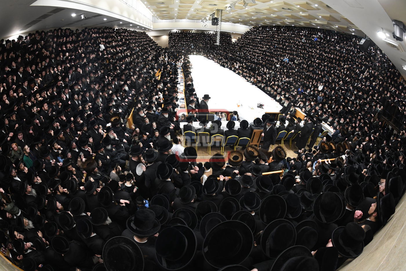 ט"ו בשבט בחצה"ק בעלזא