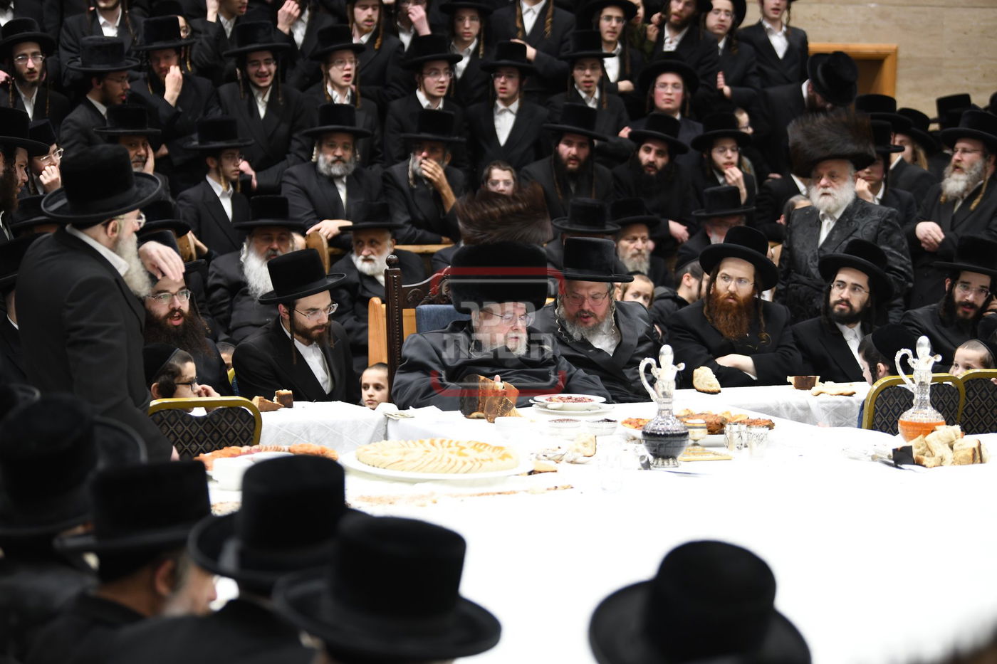 ט"ו בשבט בחצה"ק בעלזא