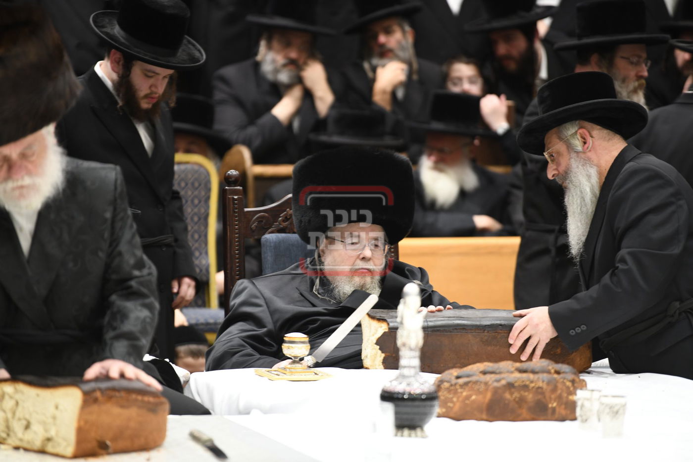 ט"ו בשבט בחצה"ק בעלזא