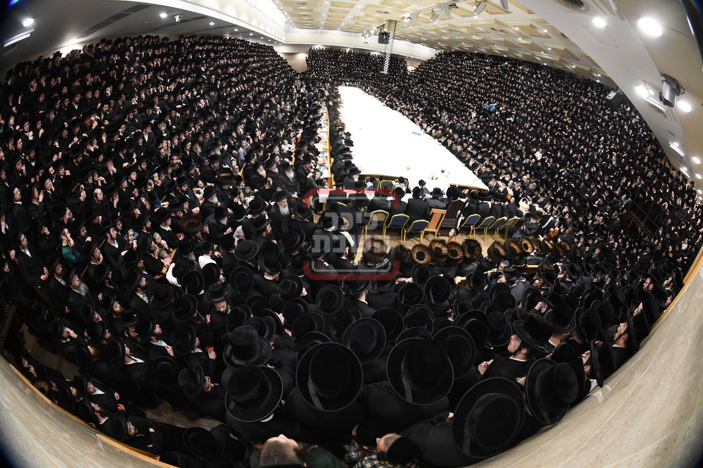 ט"ו בשבט בחצה"ק בעלזא