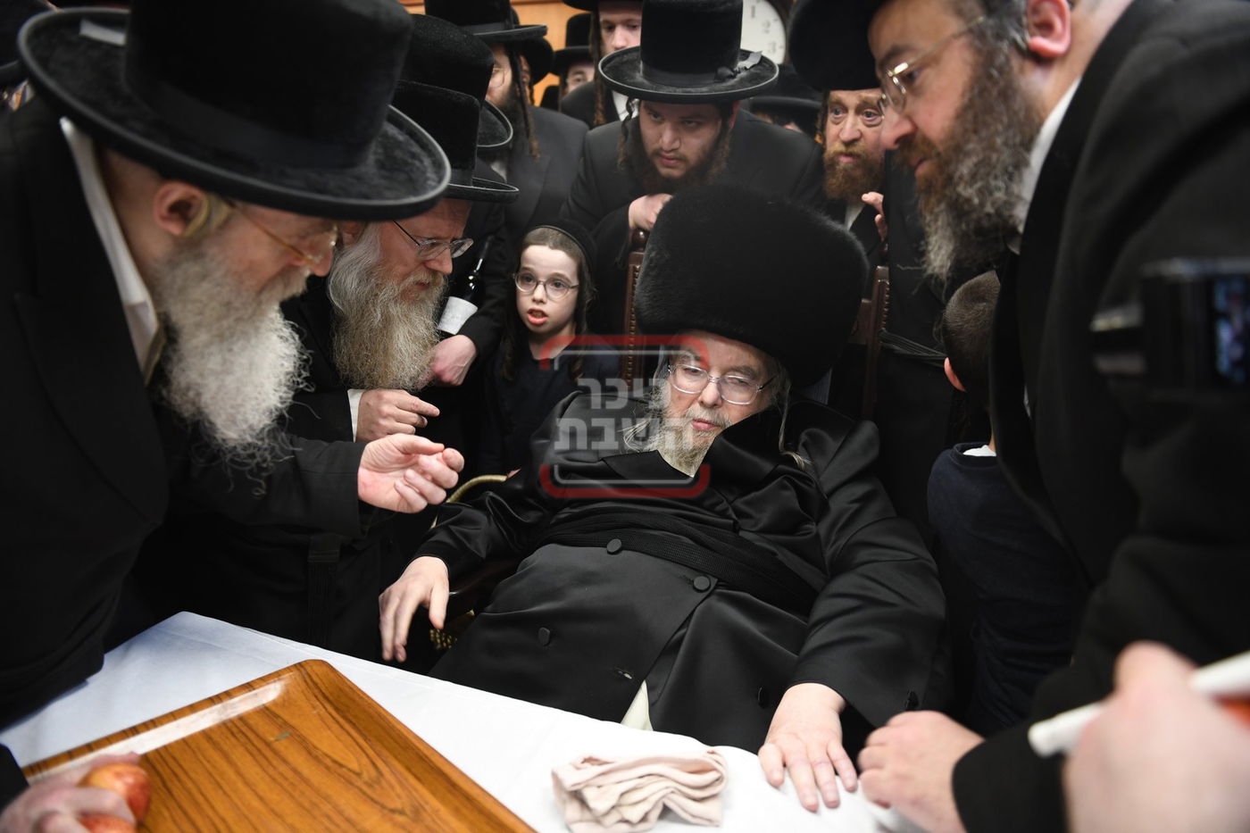 ט"ו בשבט בחצה"ק בעלזא