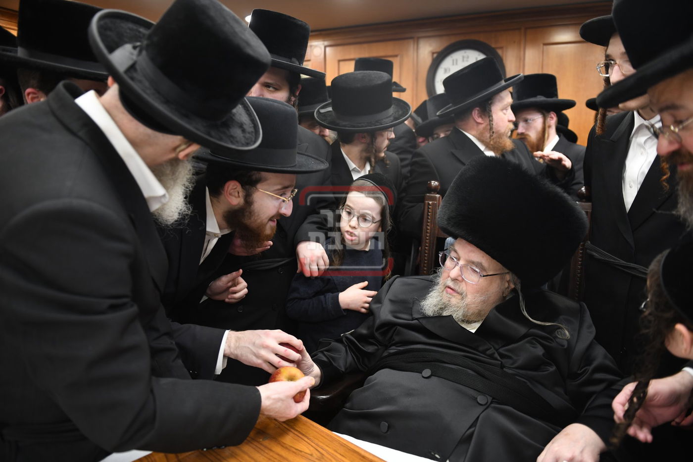 ט"ו בשבט בחצה"ק בעלזא