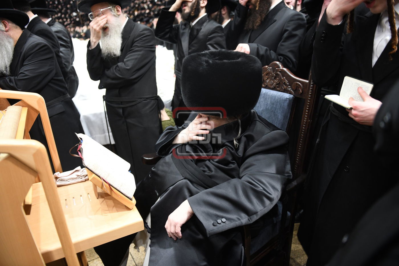 ט"ו בשבט בחצה"ק בעלזא