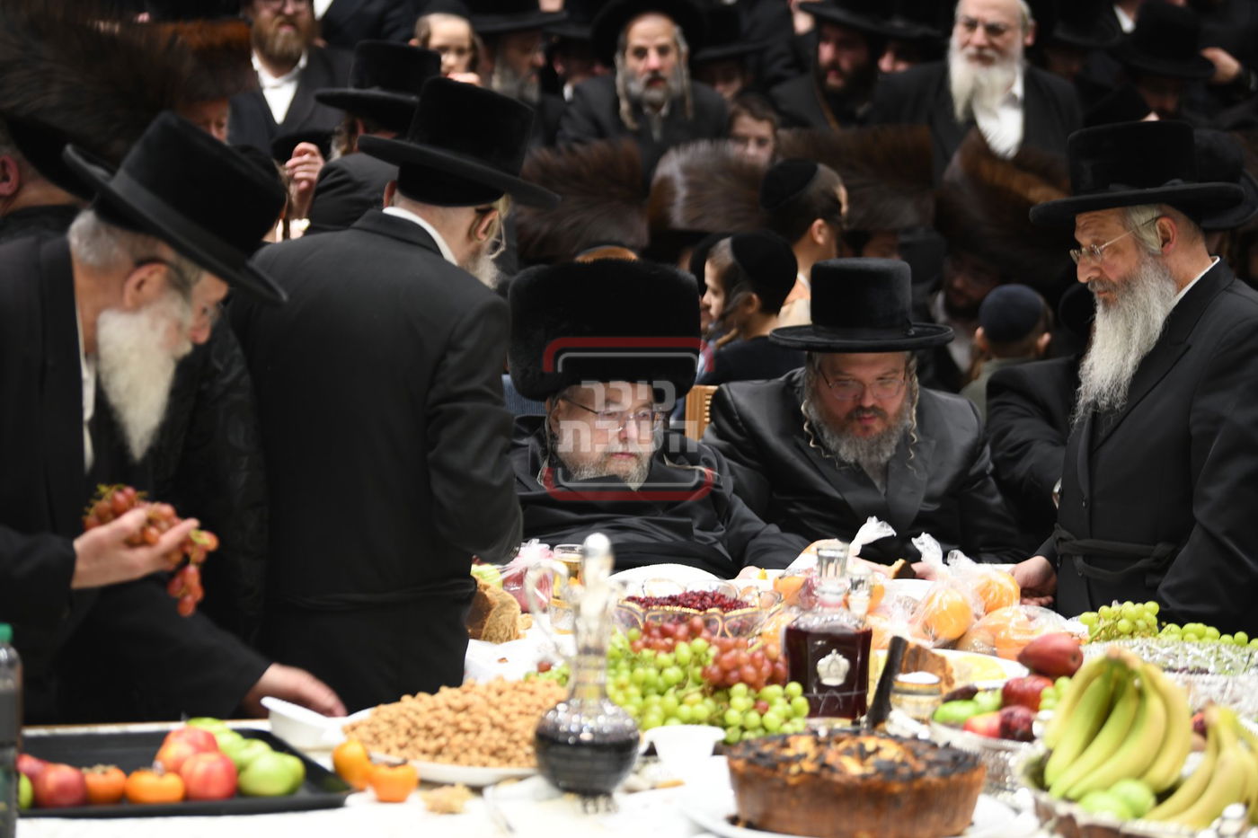 ט"ו בשבט בחצה"ק בעלזא