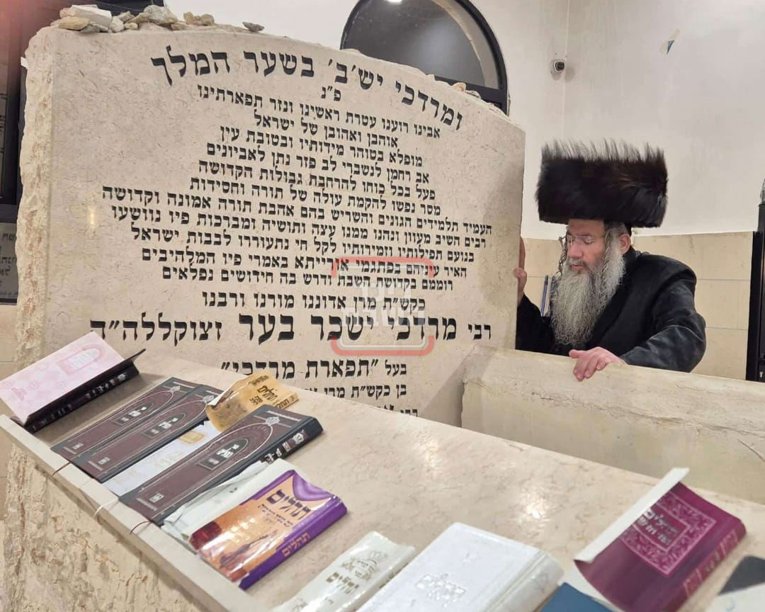 זופניק בכיכר | כל התמונות, הנייעס והחשיפות של השבוע