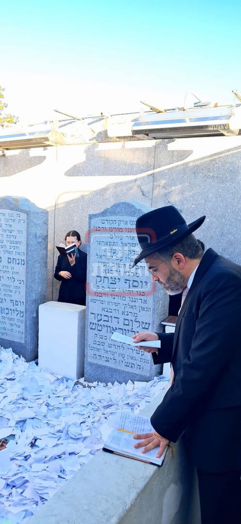 זופניק בכיכר | כל התמונות, הנייעס והחשיפות של השבוע