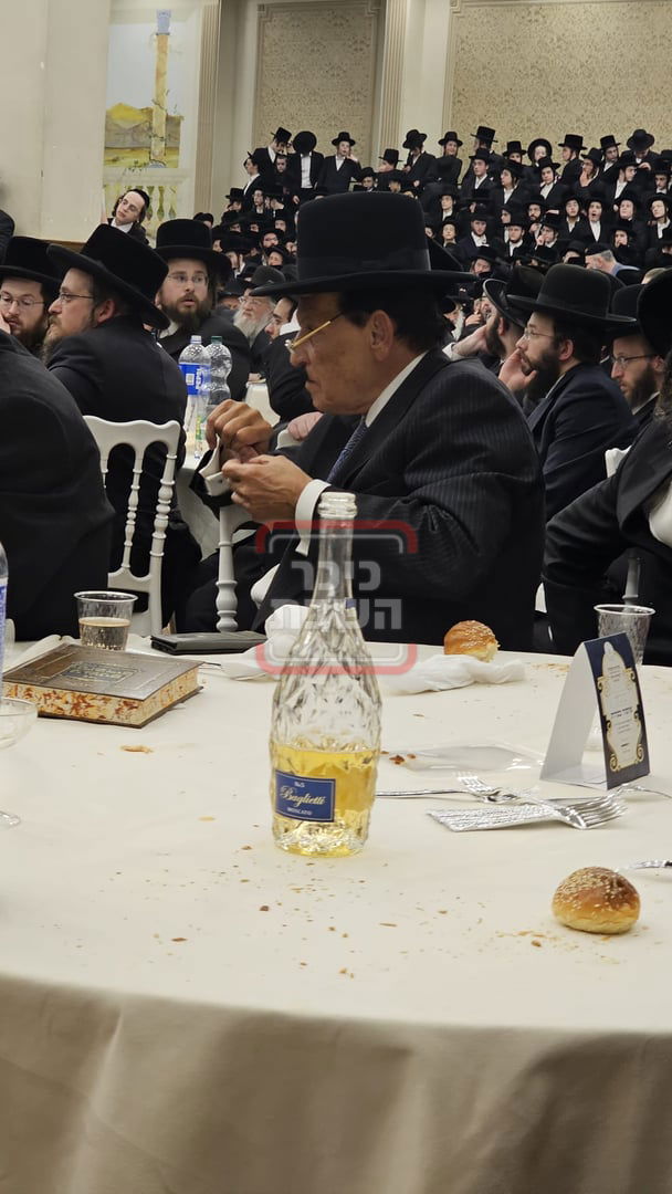 זופניק בכיכר | כל התמונות, הנייעס והחשיפות של השבוע