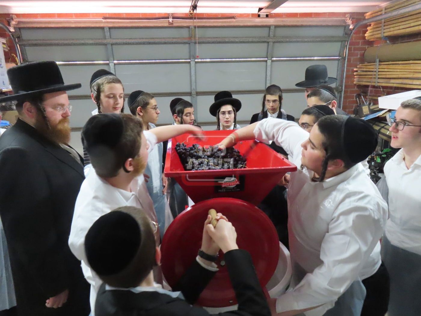 זופניק בכיכר | כל התמונות, הנייעס והחשיפות של השבוע