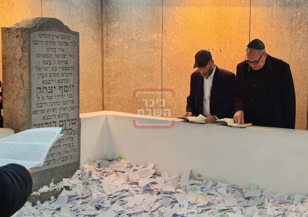 זופניק בכיכר | כל התמונות, הנייעס והחשיפות של השבוע