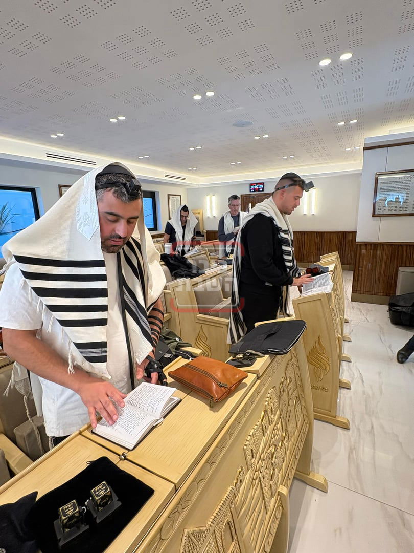 זופניק בכיכר | כל התמונות, הנייעס והחשיפות של השבוע