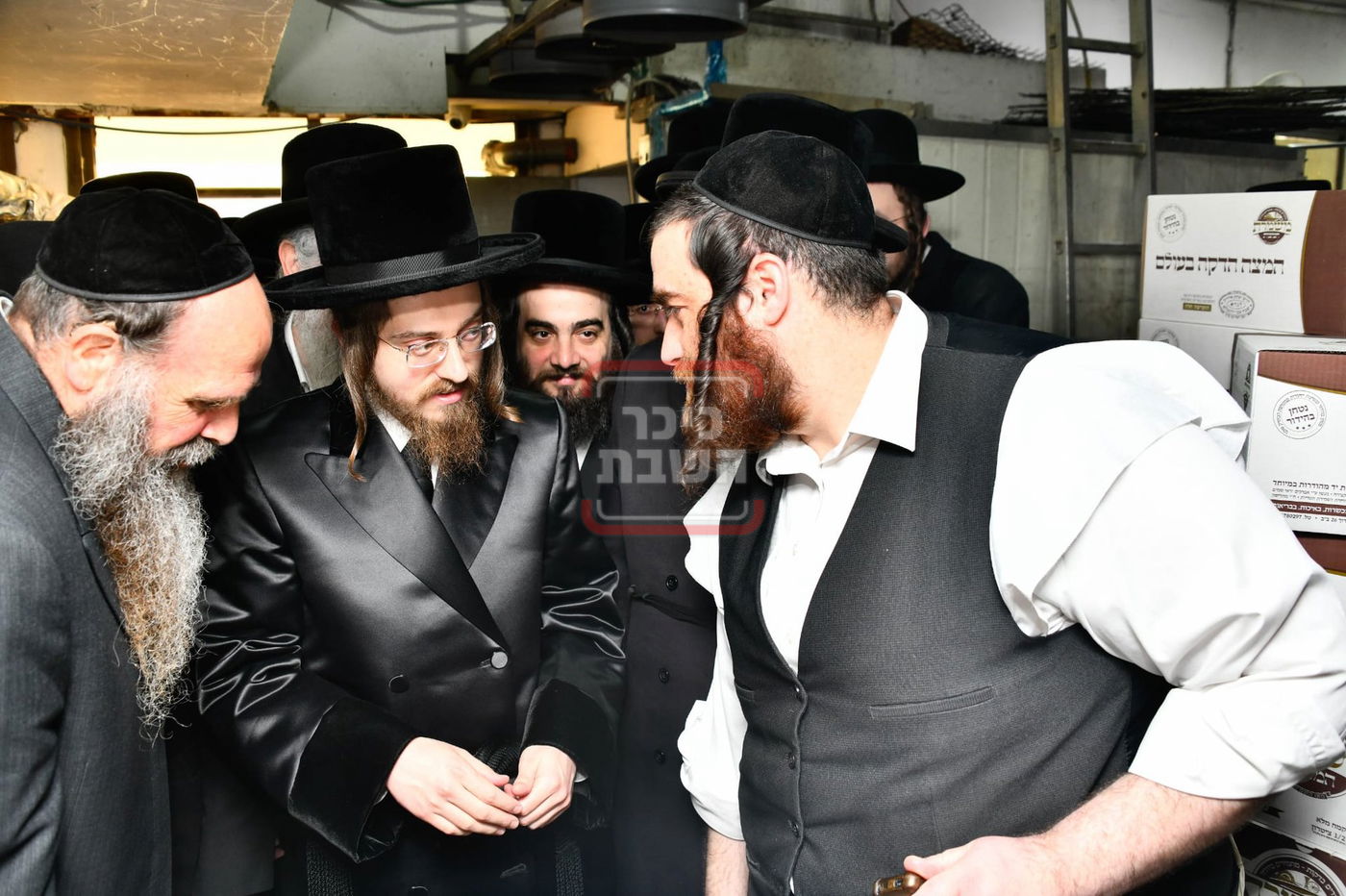 זופניק בכיכר | כל התמונות, הנייעס והחשיפות של השבוע